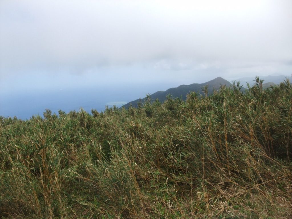 野底岳頂上からの絶景