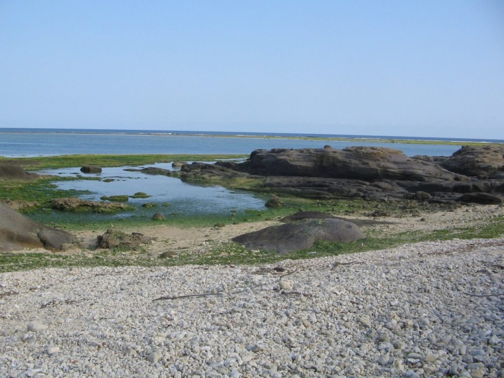 石垣島の大浜海岸の眺め