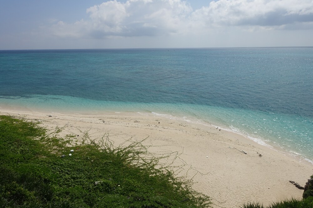 丘から見るお浜