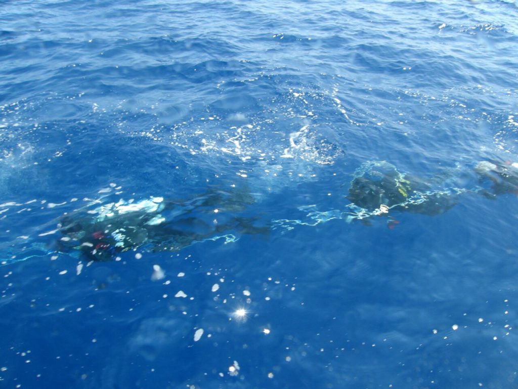 仲の御神島周辺の海