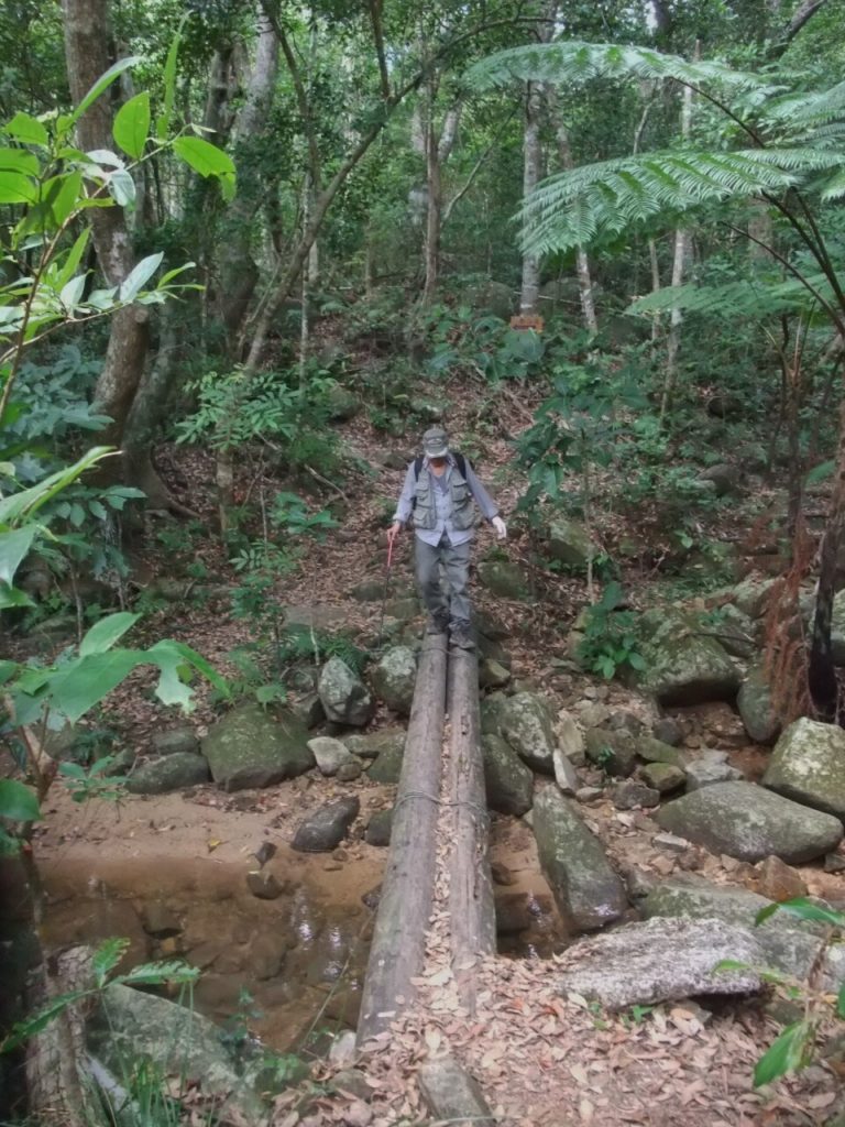 石垣島-於茂登岳の参道