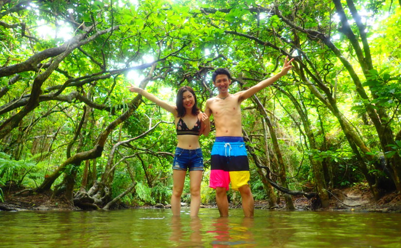 沖縄本島 世界自然遺産候補地でマングローブカヤックを体験しよう 沖縄トリップ