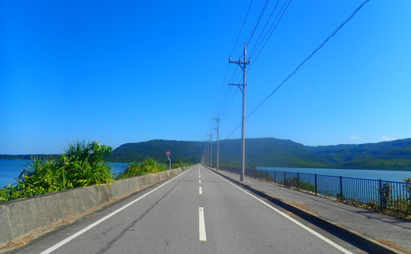 西表島でドライブ中に見える風景