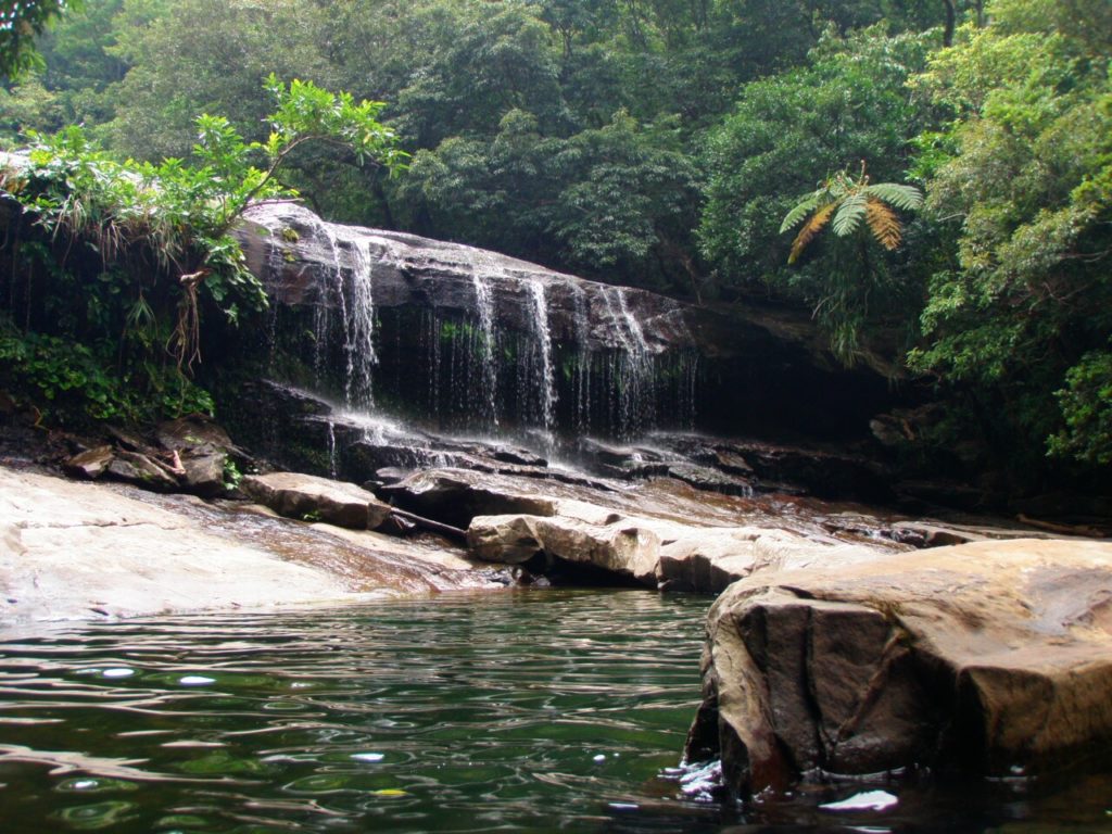 西表島のサンガラの滝