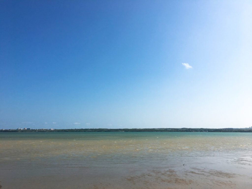 サニツ浜ふれあい広場から見える干潮時の海