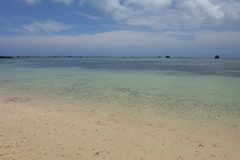 佐和田の浜の海