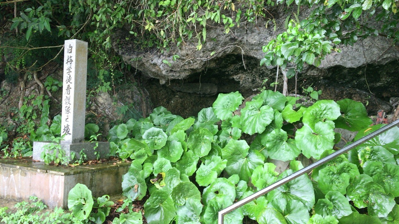 沖縄本島（知念・玉城・八重瀬エリア）-白梅学徒看護隊の壕-