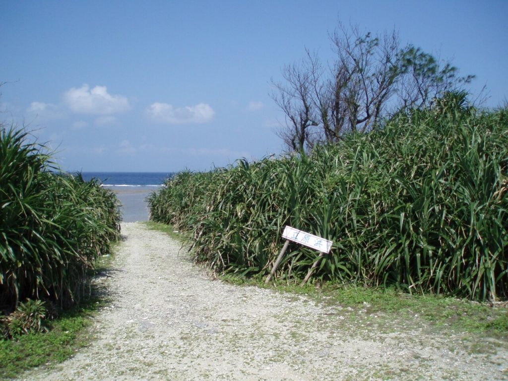 鳩間島の立原浜へ行く道