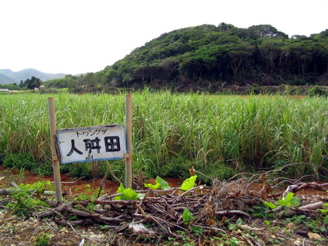 与那国島の人舛田