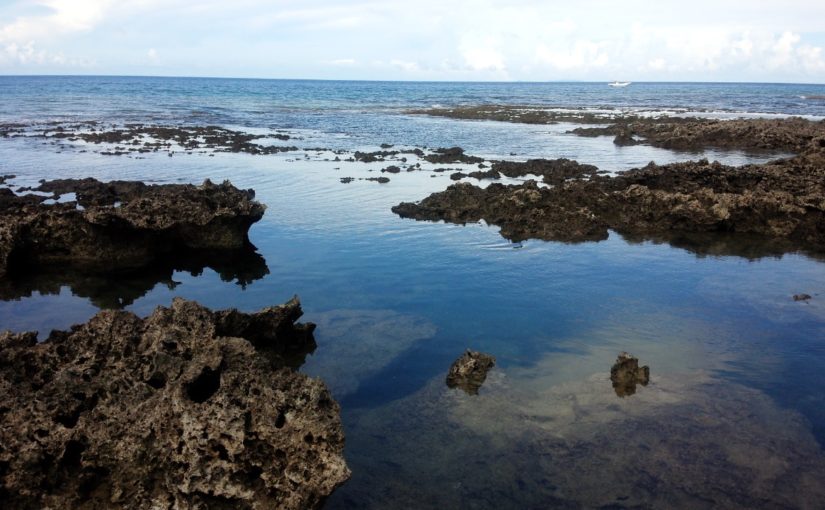 熱帯魚の家 沖縄本島 久米島エリア の観光スポット 沖縄トリップ 熱帯魚の家 沖縄本島 久米島エリア の観光スポット 沖縄トリップ