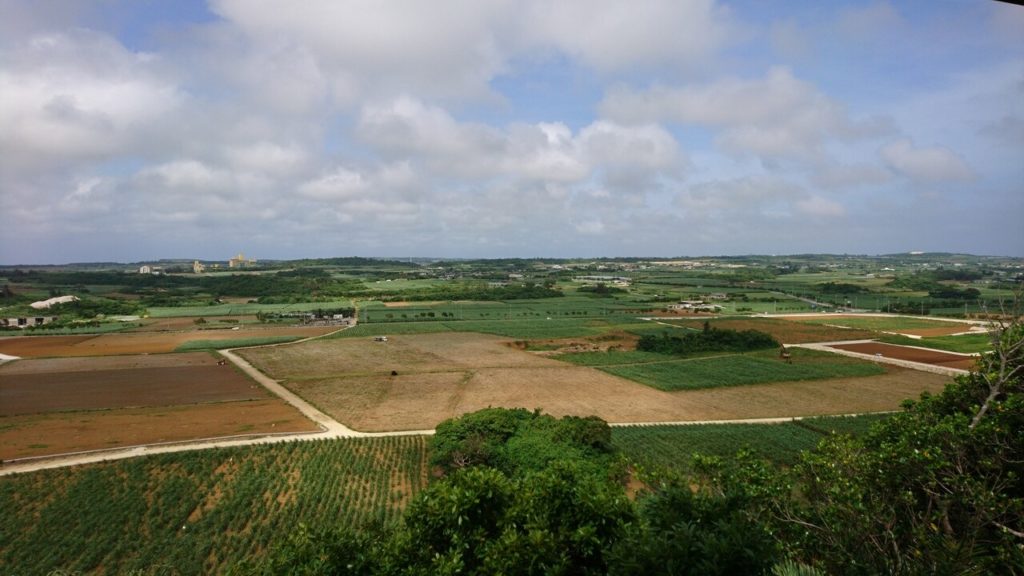 上野大嶽城址公園の展望台からの風景