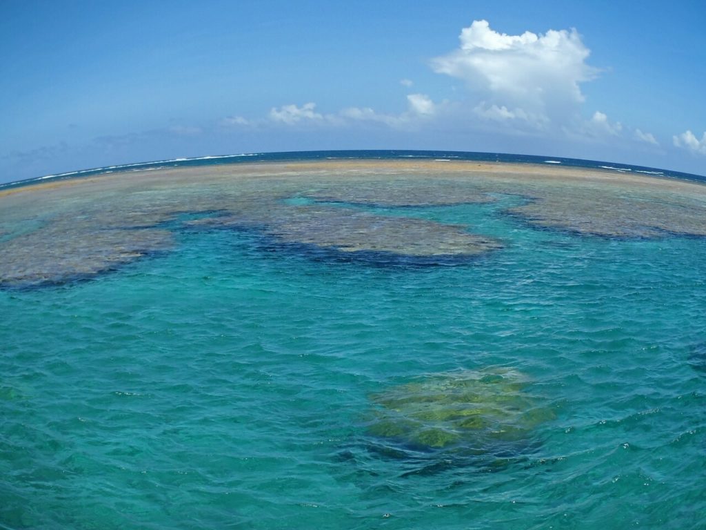 透明度抜群の八重干瀬の海