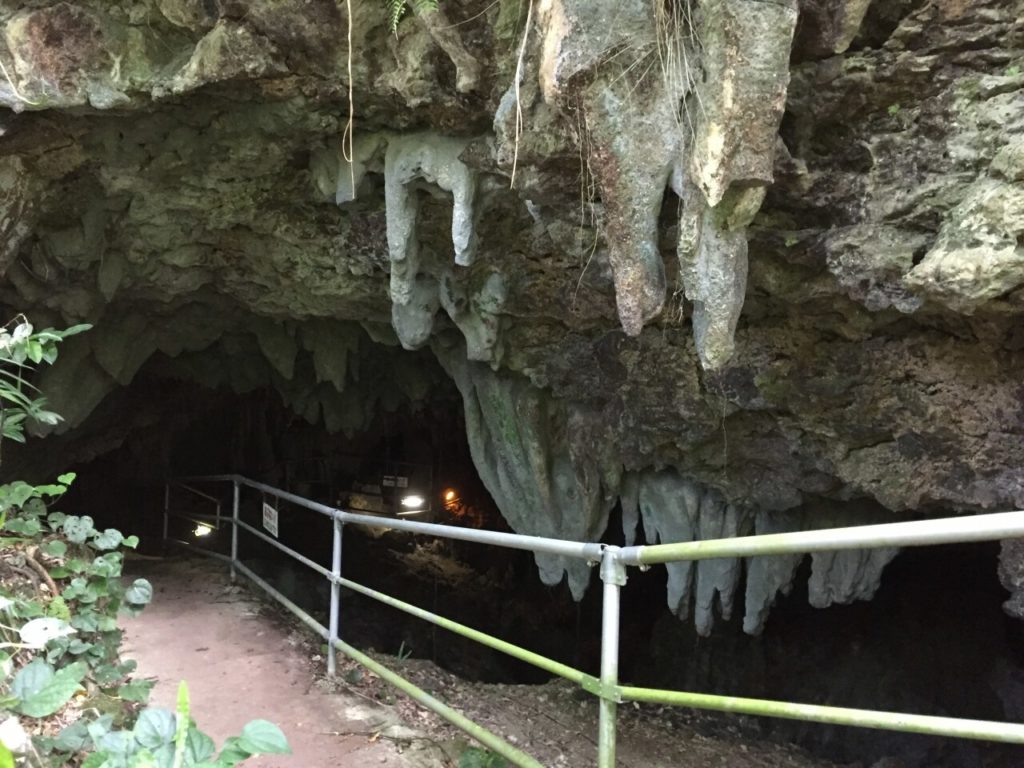 八重山鍾乳洞の洞窟への入口