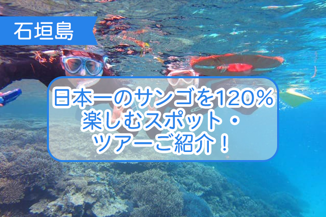 石垣島のサンゴ礁について