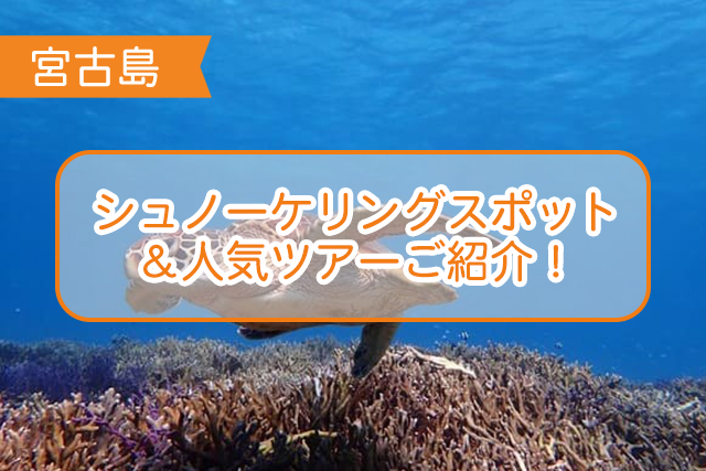 宮古島 シュノーケリングスポット 人気ツアー5選 沖縄トリップ 沖縄最大級のアクティビティ予約サイト 宮古島 シュノーケリングスポット 人気ツアー5選 沖縄トリップ 沖縄最大級のアクティビティ予約サイト