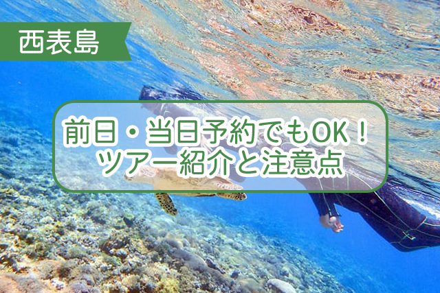 西表島の当日・前日ツアーについて