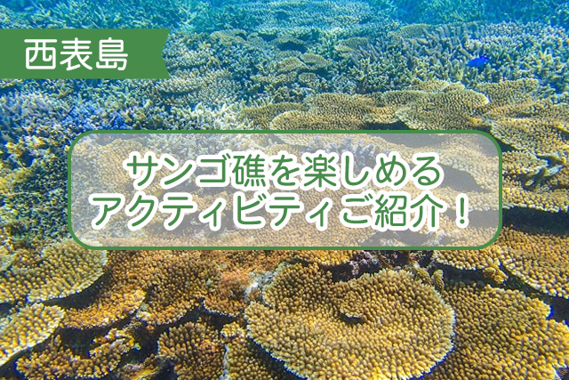 西表島のサンゴ礁について