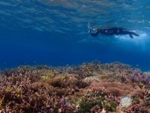 バラス島周辺でシュノーケリングする人