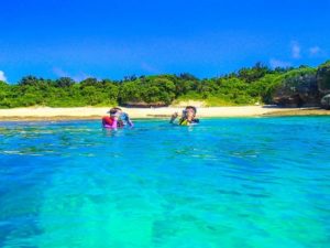 夏の西表島でシュノーケリング