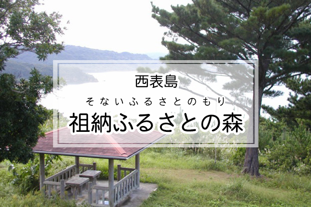 西表島の祖納（そない）ふるさとの森