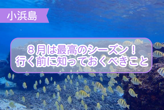 小浜島の8月について