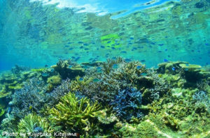 池間島の近くの八重干瀬の珊瑚礁