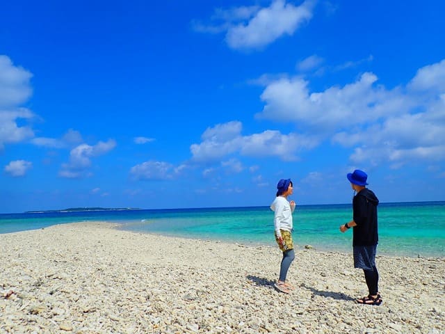 西表島 海の生き物 人気シュノーケリングツアーご紹介 沖縄トリップ