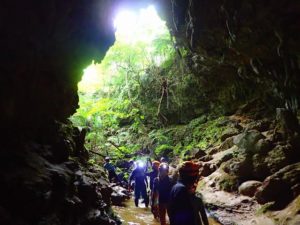 9月の西表島の鍾乳洞探検