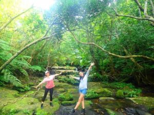 11月の西表島ジャングルをトレッキングする女性