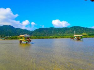 暖かな日差しを感じられる西表島の3月に由布島水牛車観光