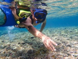 西表島 海の生き物 人気シュノーケリングツアーご紹介 沖縄トリップ