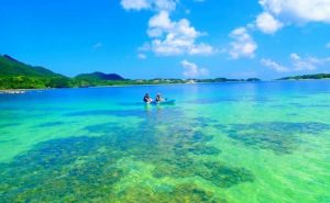 小浜島 コヨーテ 沖縄トリップ 沖縄最大級のアクティビティ予約サイト 小浜島 コヨーテ 沖縄トリップ 沖縄最大級のアクティビティ予約サイト