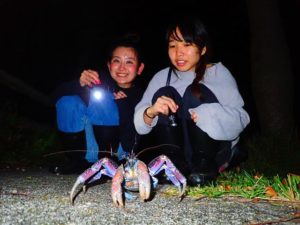 西表島のナイトツアーでヤシガニを発見