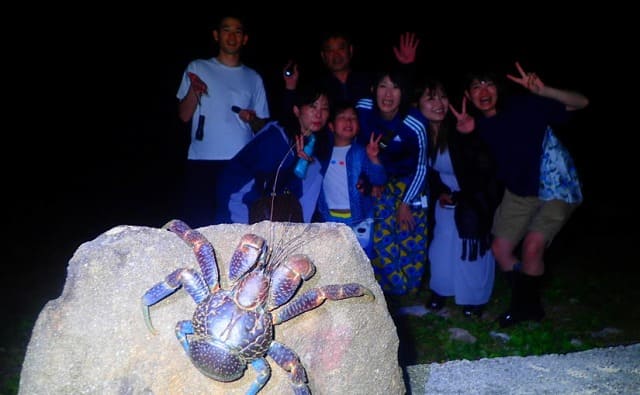 宮古島で天然記念物のヤシガニを見るには 沖縄トリップ
