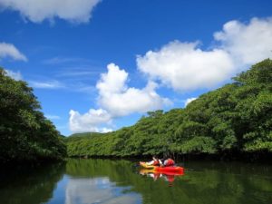 ヒナイ川をマングローブカヤック体験する家族