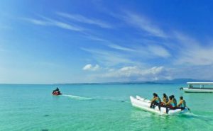 小浜島 コヨーテ 沖縄トリップ 沖縄最大級のアクティビティ予約サイト 小浜島 コヨーテ 沖縄トリップ 沖縄最大級のアクティビティ予約サイト