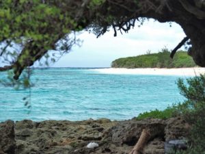 エメラルドグリーンに輝く波照間島の海