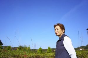 シニア世代でものんびり過ごせる西表島