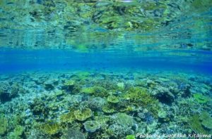 八重干瀬の透明度抜群の海