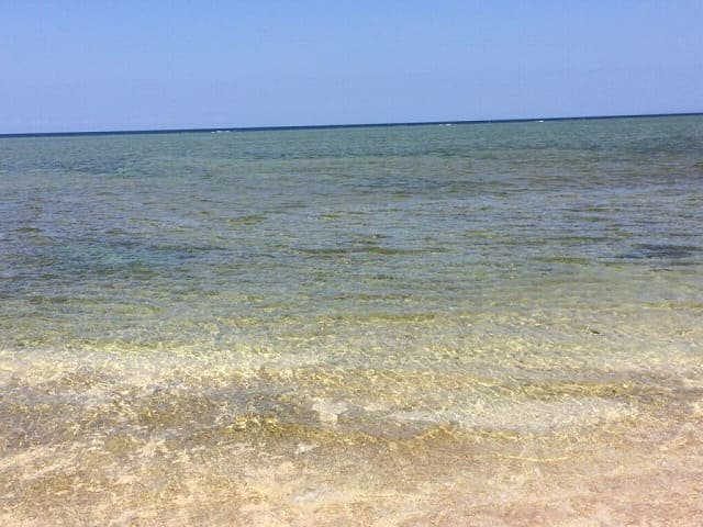 透明度抜群の鳩間島の船原浜