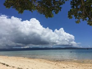 石垣島 1月は泳げる 行く前に知っておくべきこと 沖縄トリップ 沖縄最大級のアクティビティ予約サイト 石垣島 1月は泳げる 行く前に知っておくべきこと 沖縄トリップ 沖縄最大級のアクティビティ予約サイト