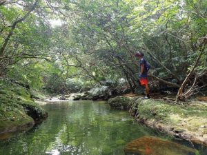 ハイキングでモダマ池へ