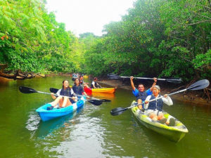グループ旅行で西表島のマングローブカヌーを体験