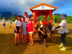由布島の水牛車と一緒に記念撮影する家族