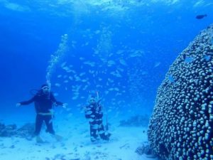 石垣島でのダイビング