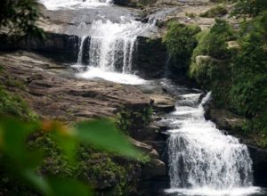 西表島のカンピレーの滝