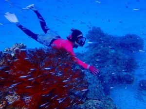 シュノーケリングで小浜島の海中を満喫