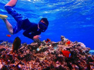 小浜島で熱帯魚と一緒に泳ぐ子供