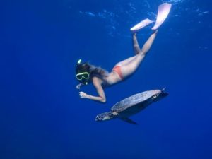パナリ島でウミガメとシュノーケリングをする女性