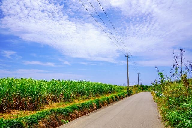 小浜島 年末年始の天気 服装 アクティビティご紹介 沖縄トリップ 沖縄最大級のアクティビティ予約サイト